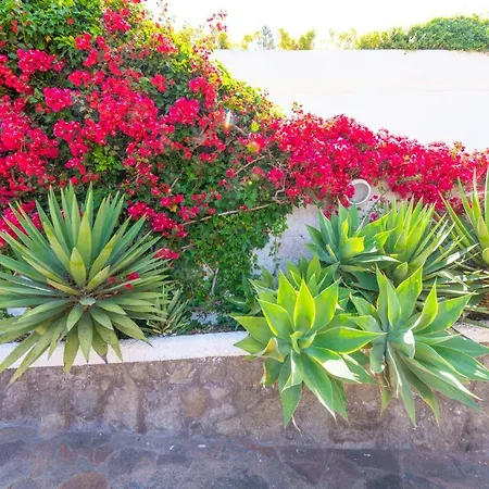 Villa La Gardenia Forio di Ischia